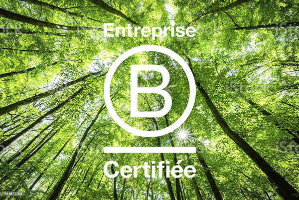 Entreprise certifiée B-Corp